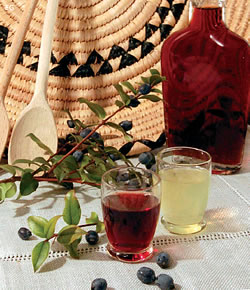 DA UNA ANTICA TRADIZIONE MIRTO DE DOMU